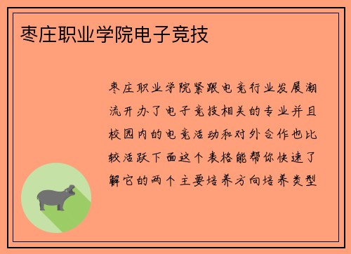 枣庄职业学院电子竞技