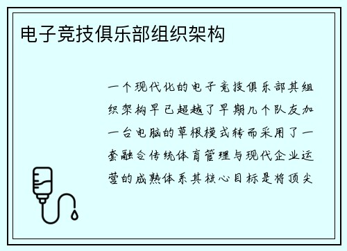 电子竞技俱乐部组织架构